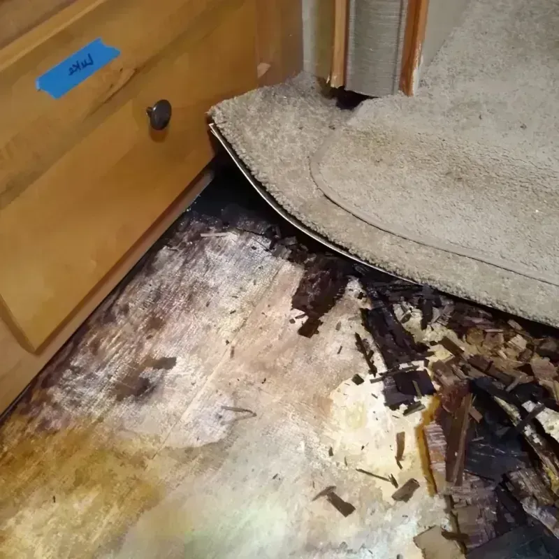 Wood Floor Water Damage in Hoopeston, IL